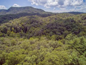 Linville Falls Drone Photography